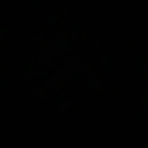 Meet your Posher, Sophie